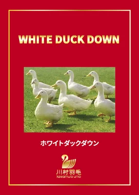 ホワイトダックダウン85％の下げ札